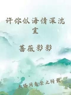 许你似海情深沈宜
