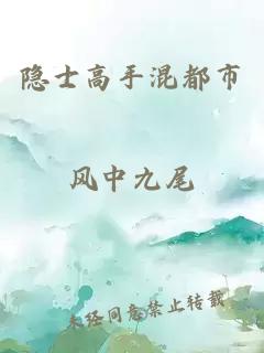 隐士高手混都市