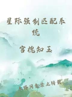 星际强制匹配系统