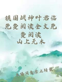 镇国战神叶君临免费阅读全文免费阅读