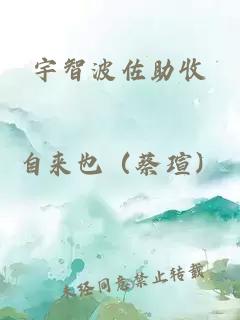 宇智波佐助收