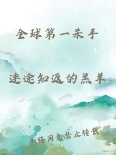 全球第一杀手