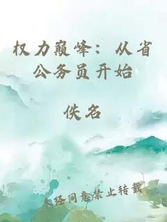 权力巅峰：从省公务员开始