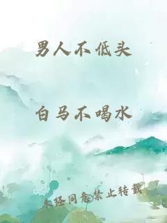 男人不低头