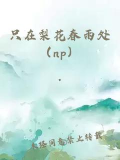 只在梨花春雨处（np）