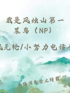 我是风烛山第一菜鸟（NP）