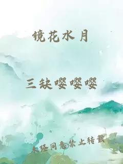 镜花水月