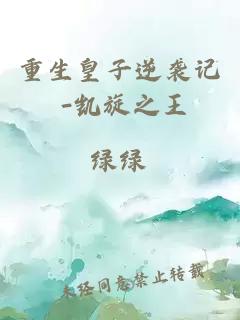 重生皇子逆袭记 -凯旋之王