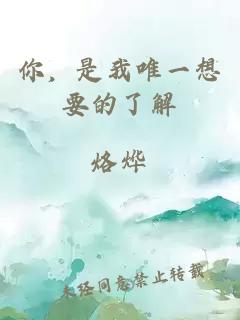 你，是我唯一想要的了解