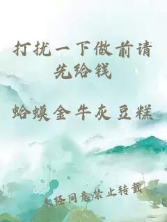 打扰一下做前请先给钱